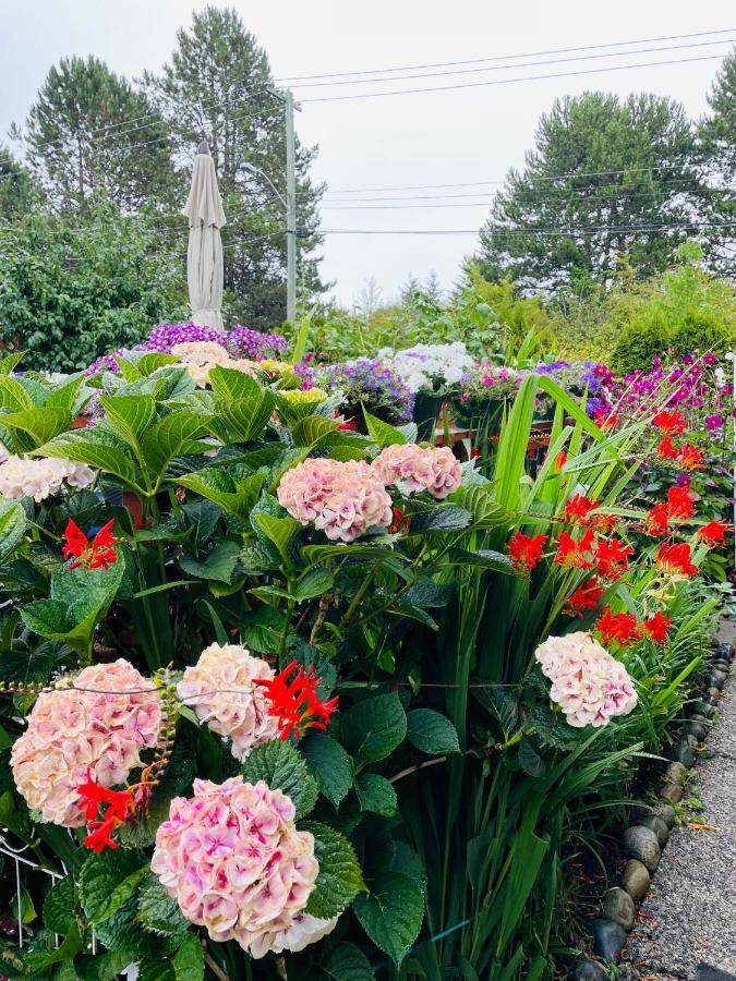 Garden Home In Victoria -Beautiful Home In Victoria Exterior foto